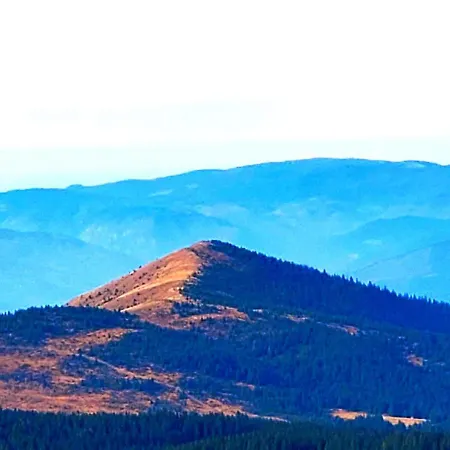 Skykop L21 Lejlighed *